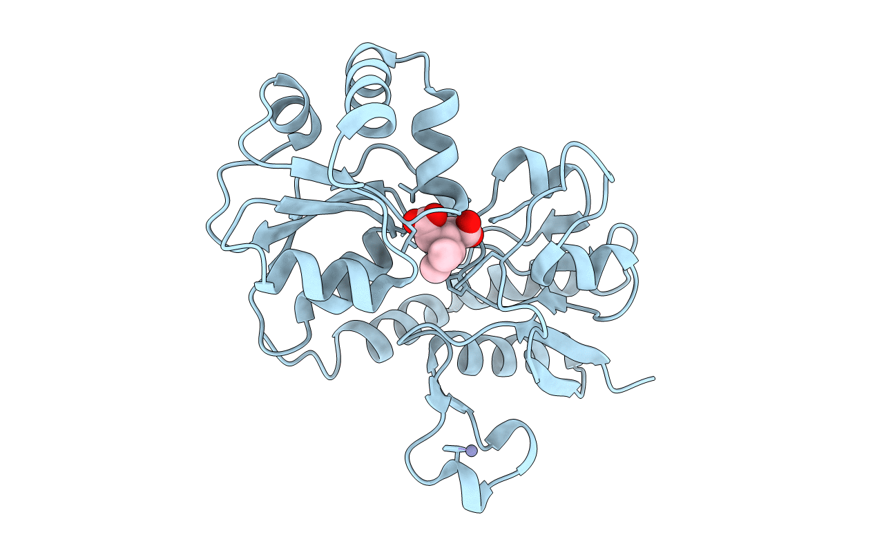 4F39 image