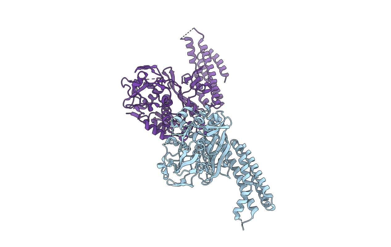 4F3E image