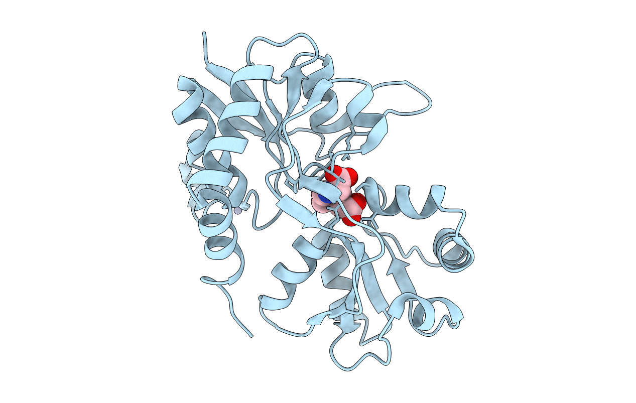 4F3G image