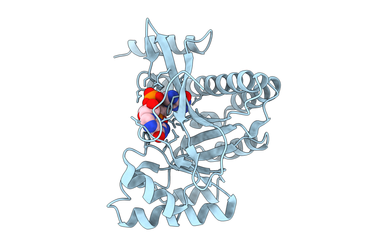 4F3H image