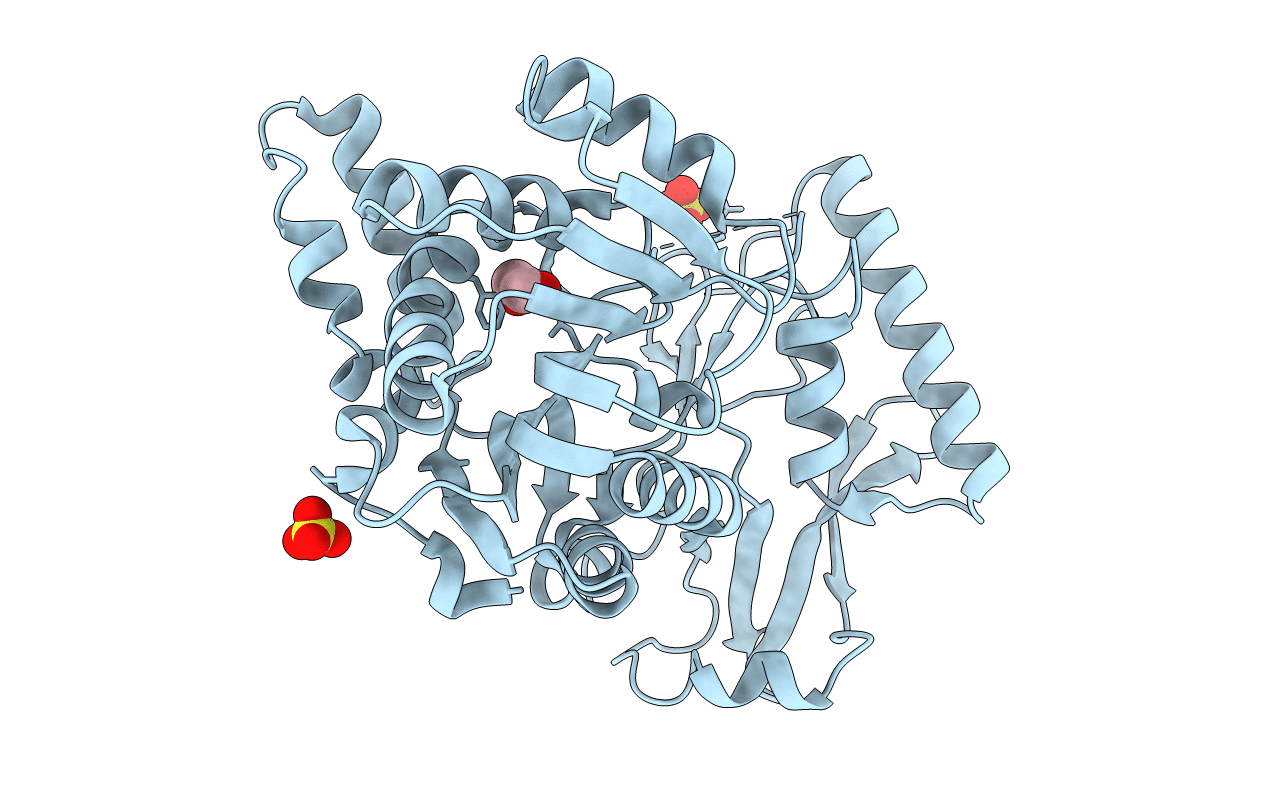 4F3N image
