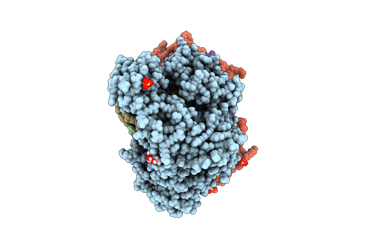 4F3O image