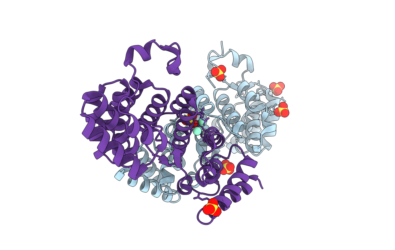 4F3V image