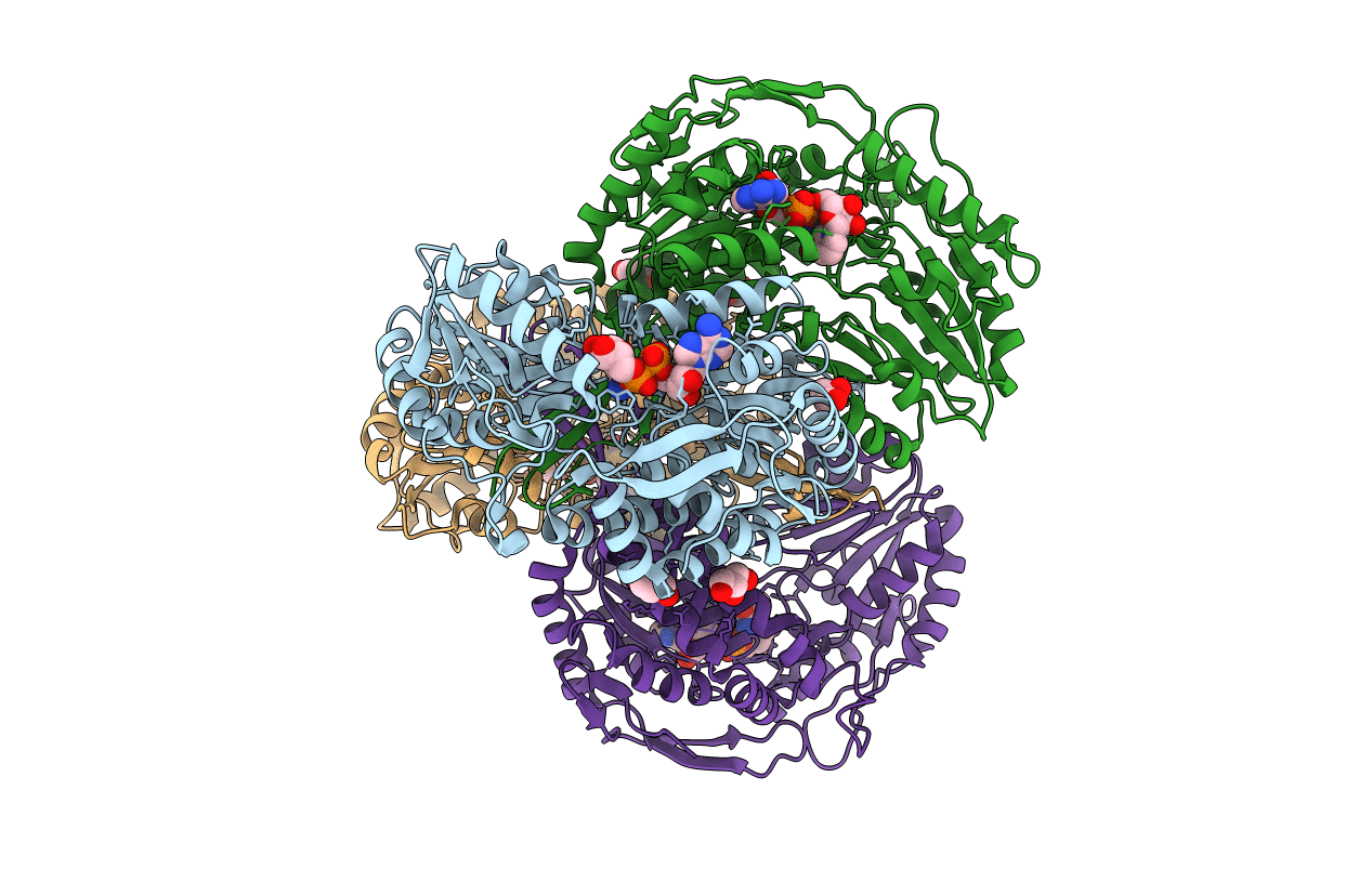 4F3X image