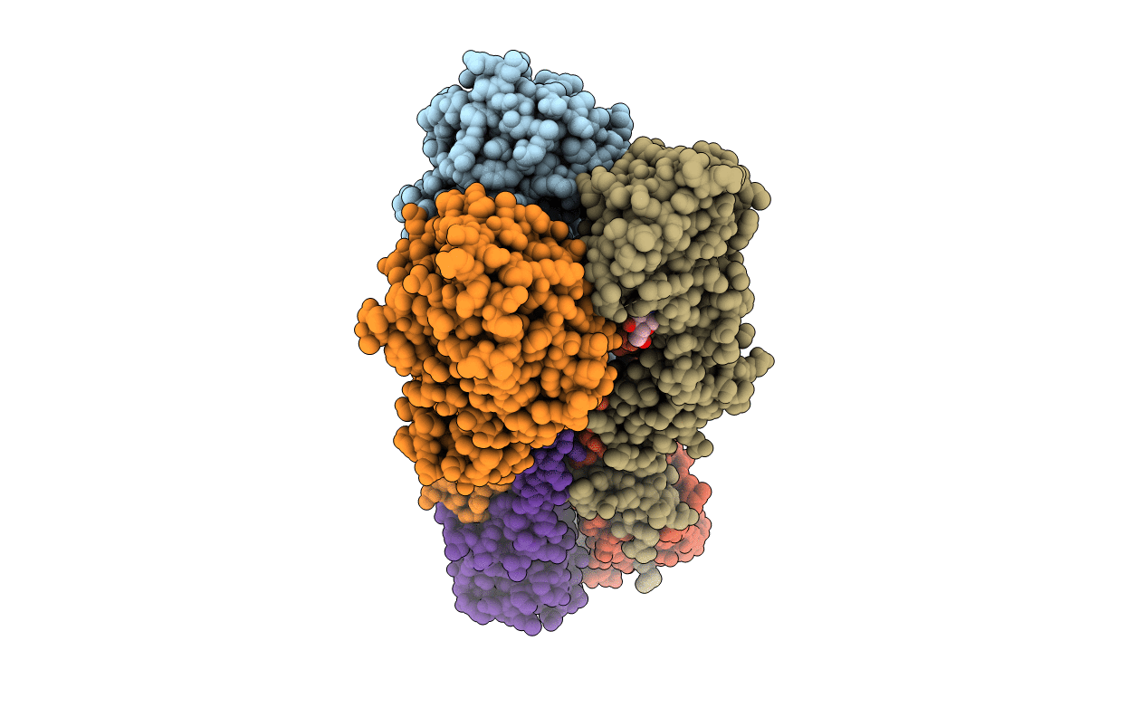 4F3Z image