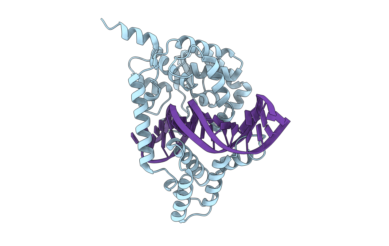 4F41 image