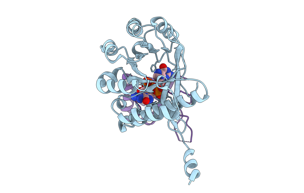 4F48 image