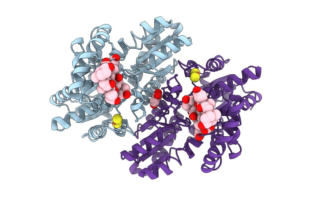 4F4D image