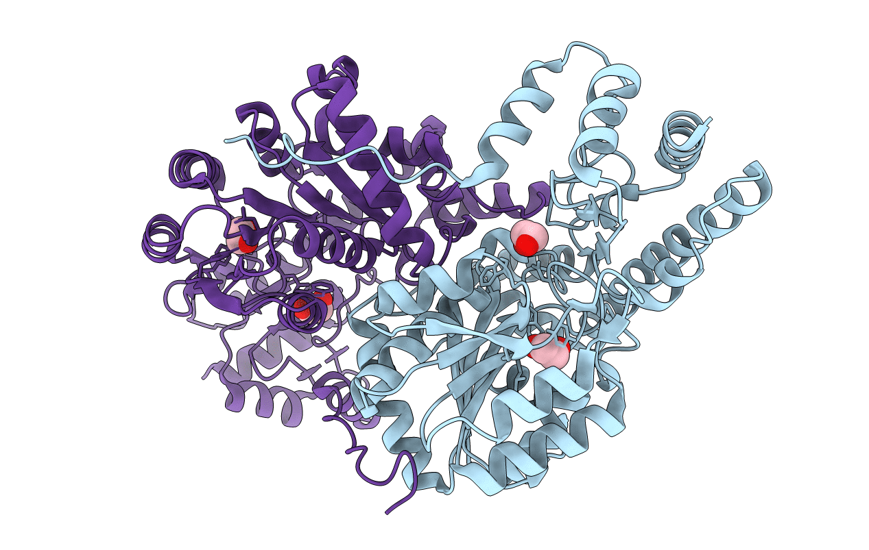 4F4E image
