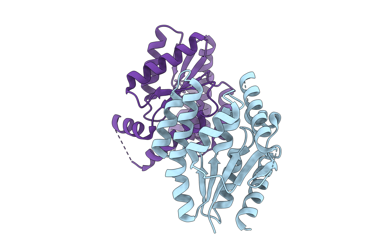 4F4I image