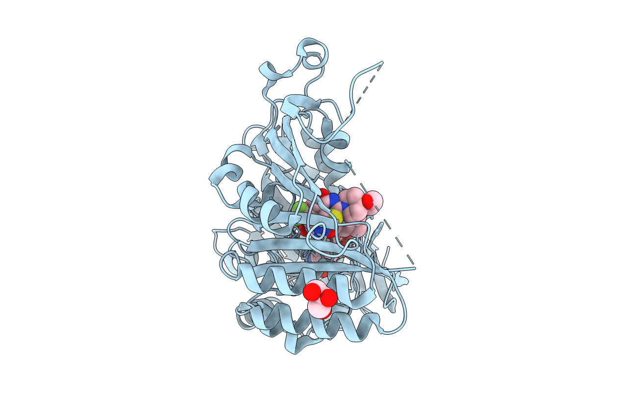 4F4Q image