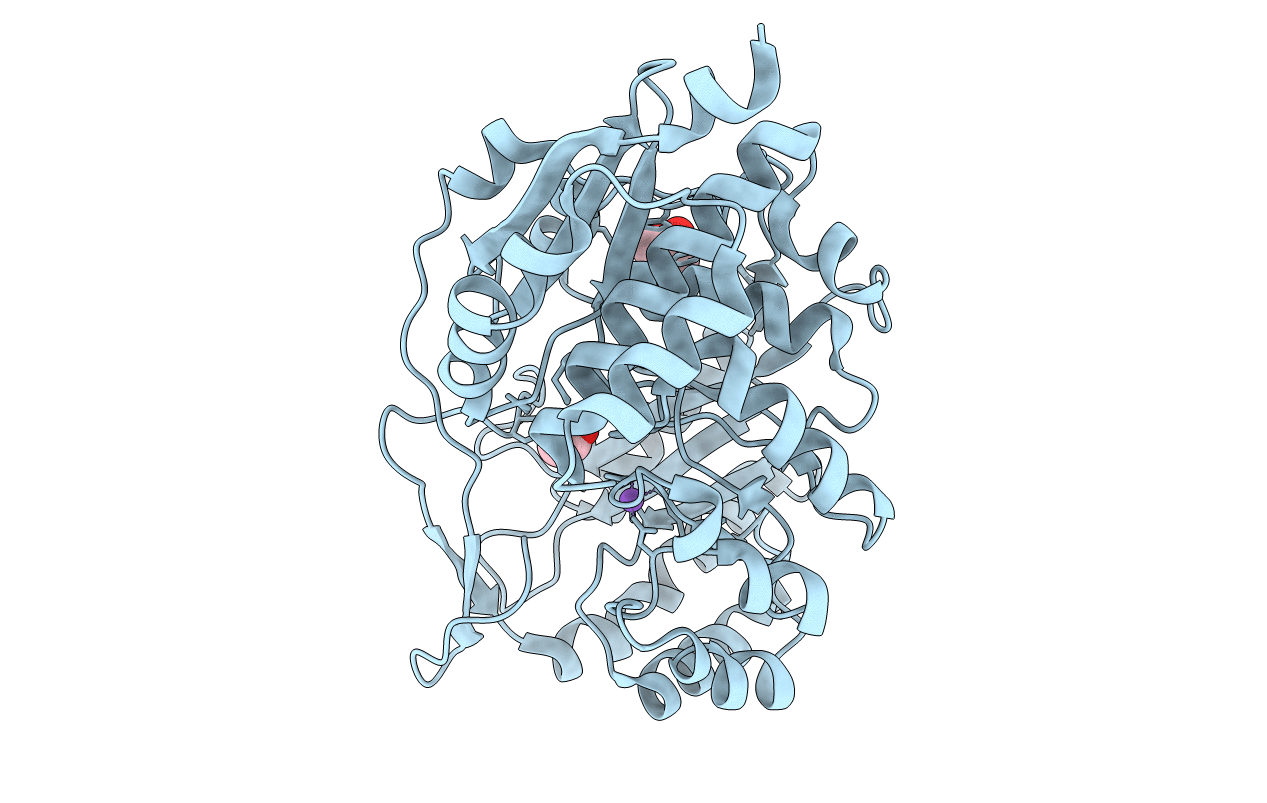 4F4R image