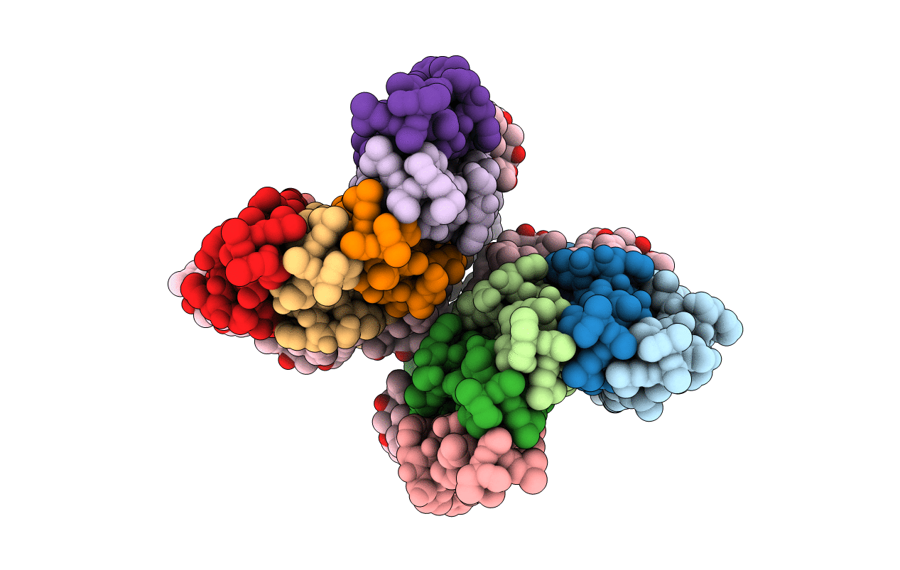4F4S image