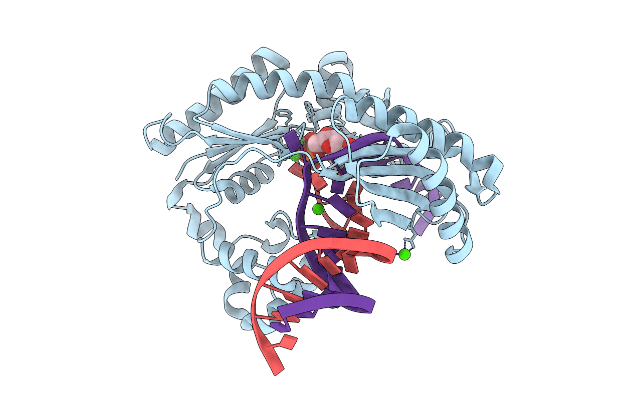 4F4X image