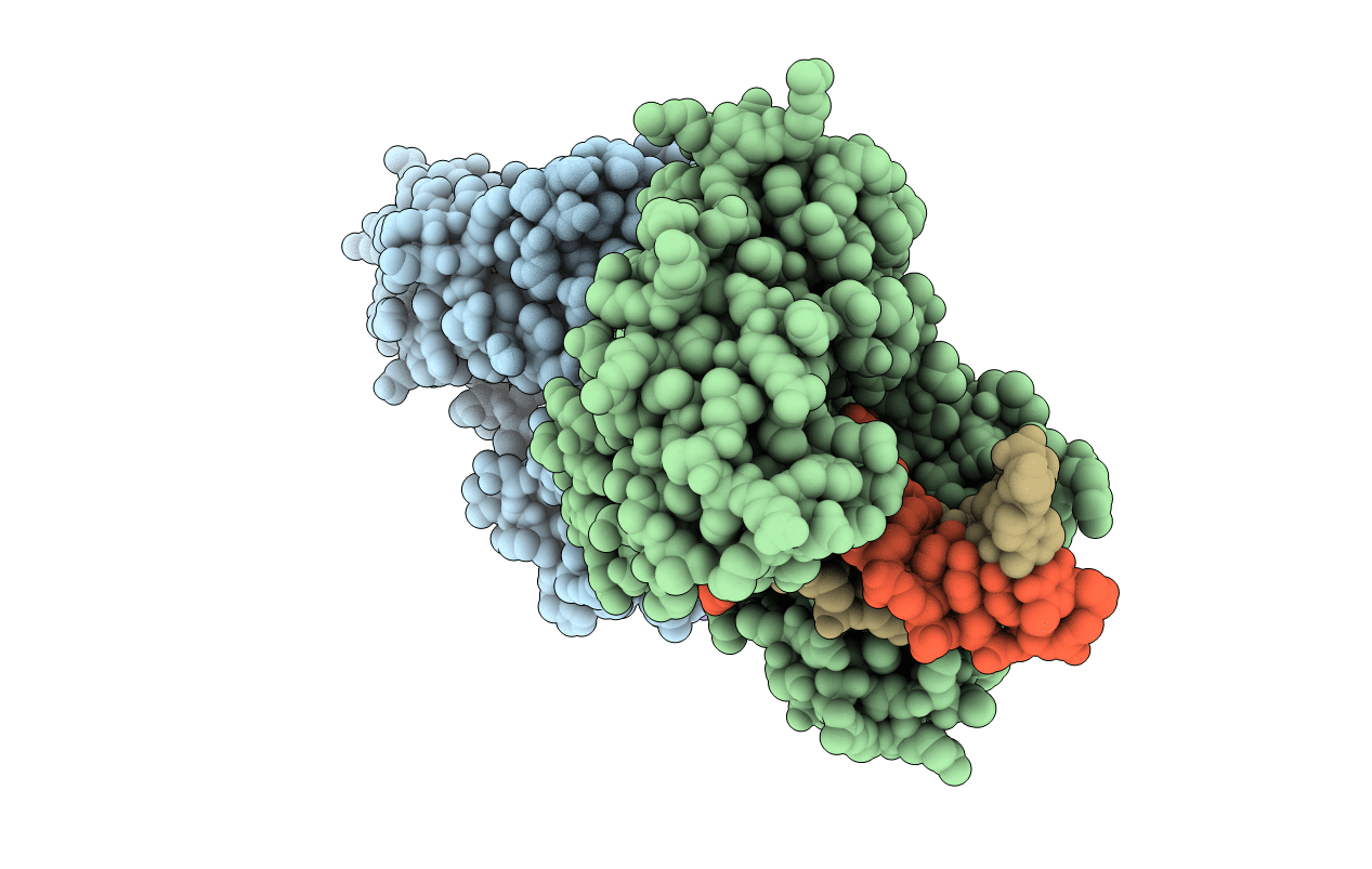 4F4Z image