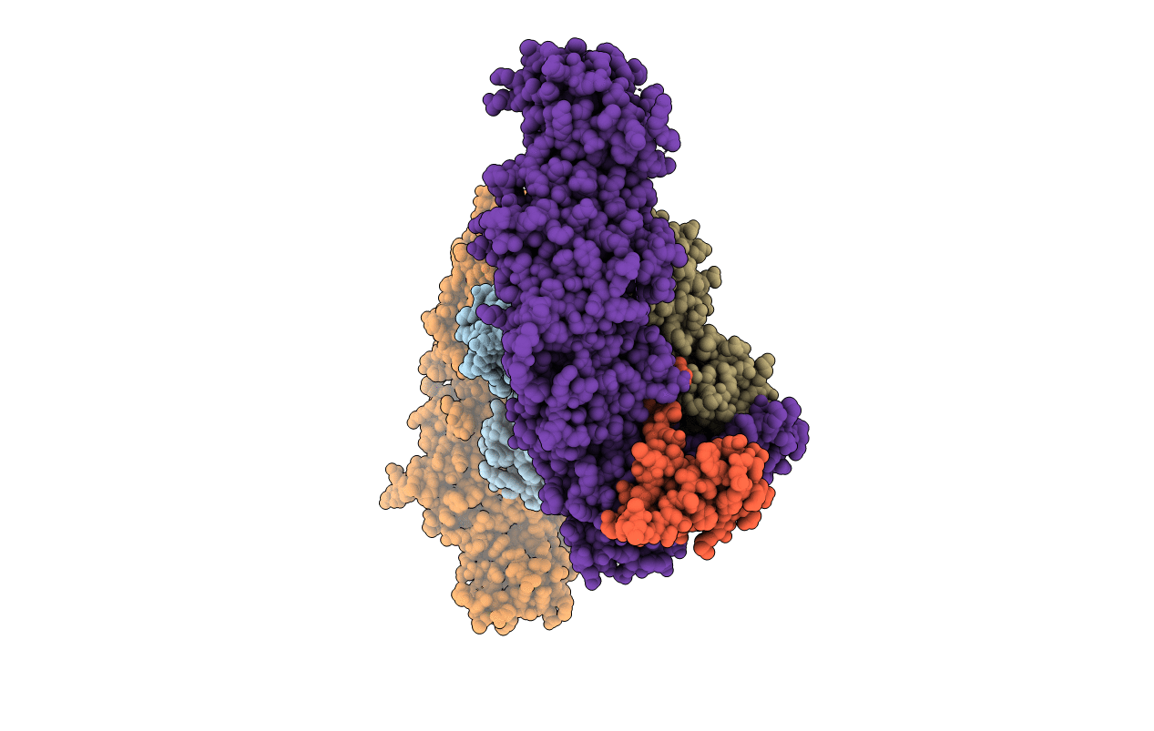 4F52 image