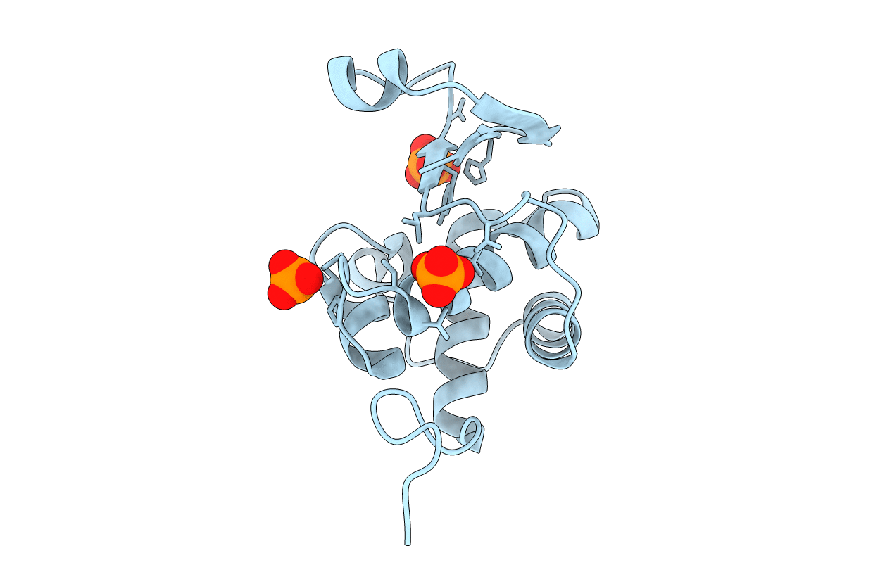 4F55 image