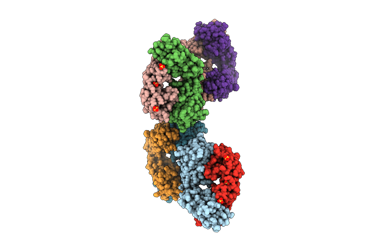 4F58 image