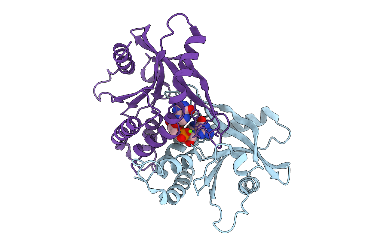4F5D image
