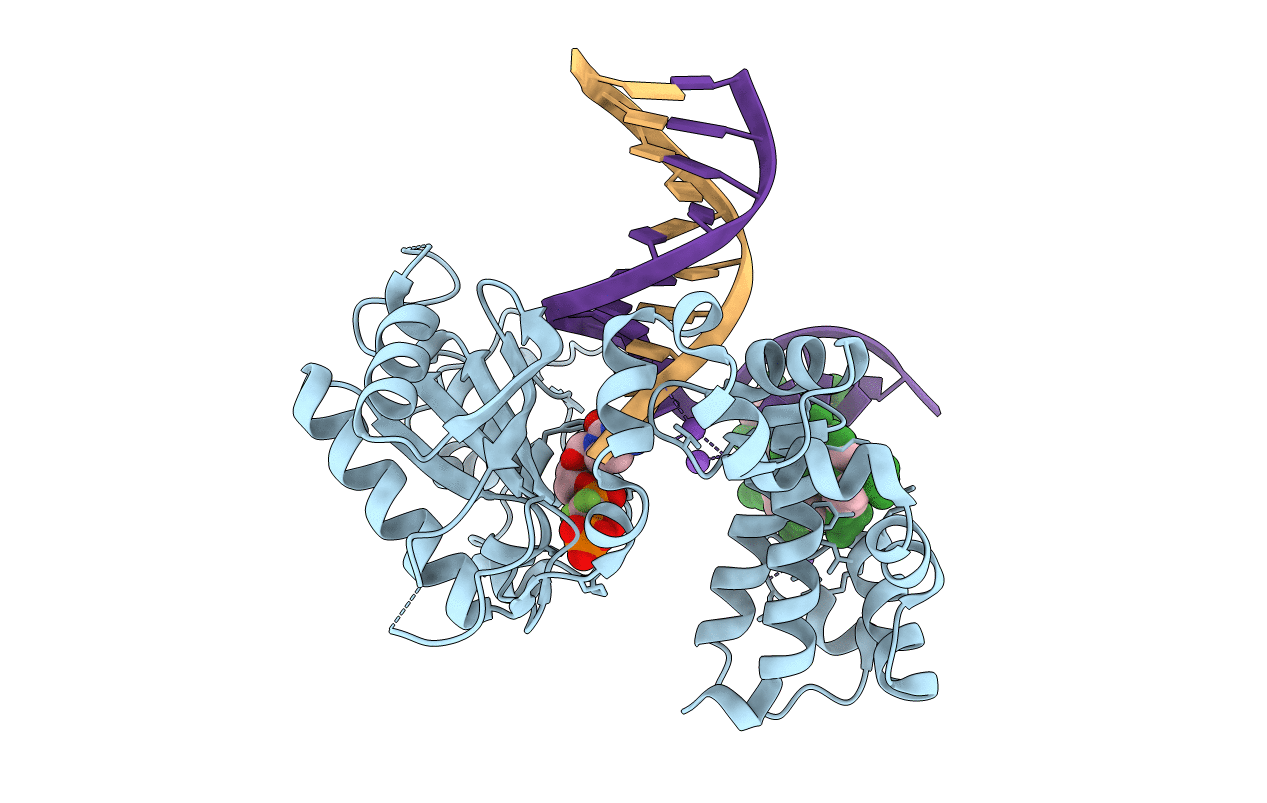 4F5N image