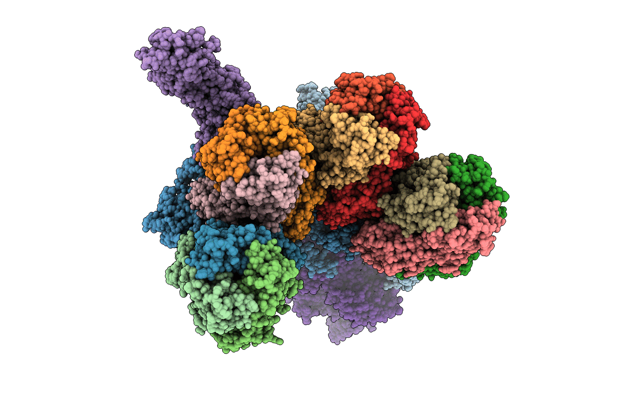 4F5X image