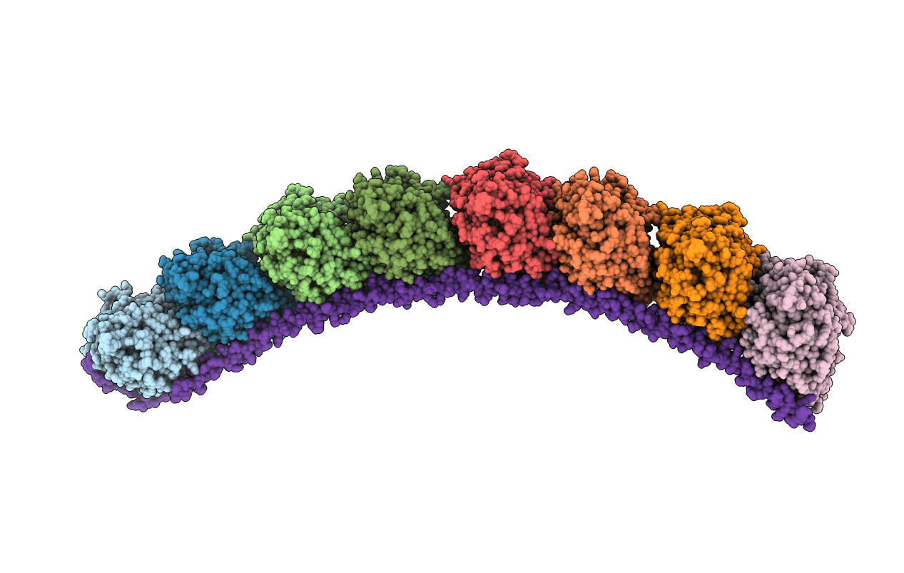 4F61 image