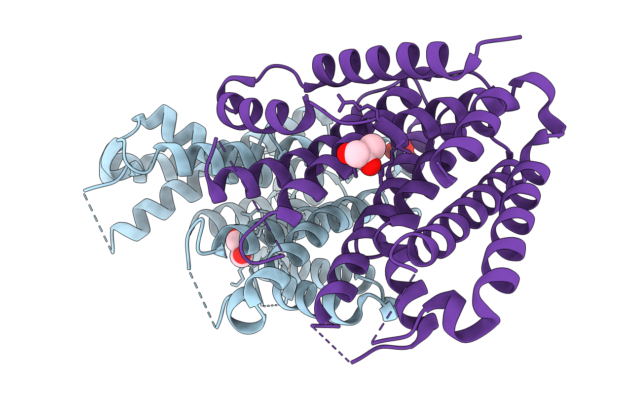 4F62 image