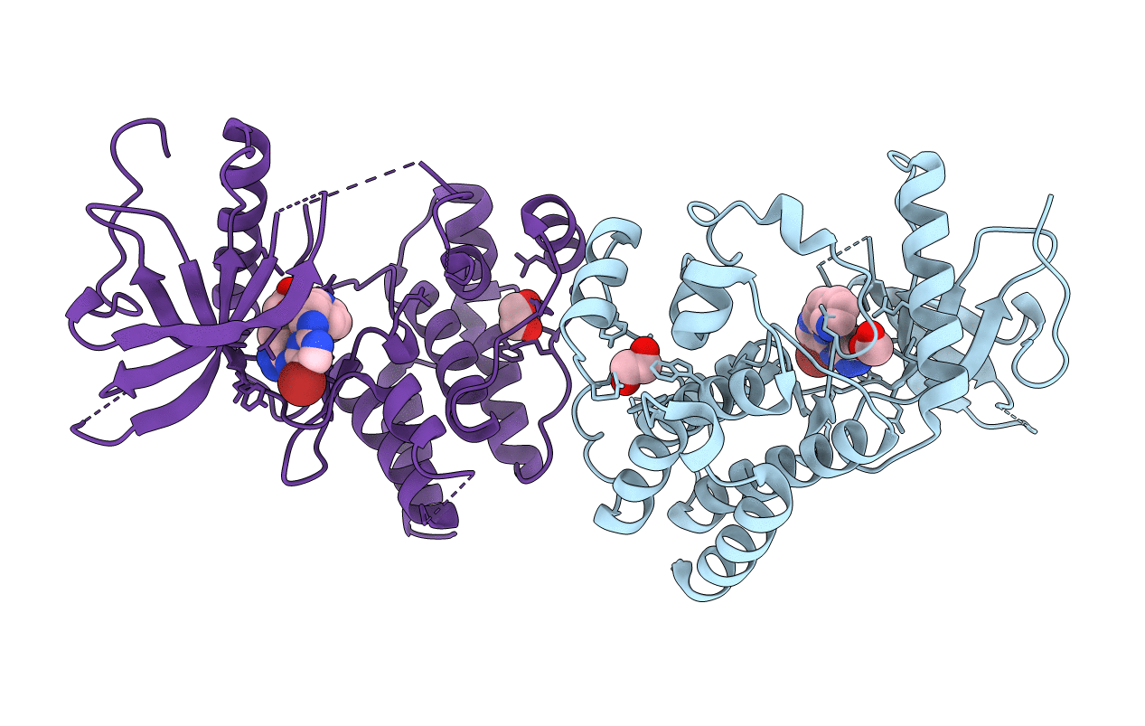 4F63 image