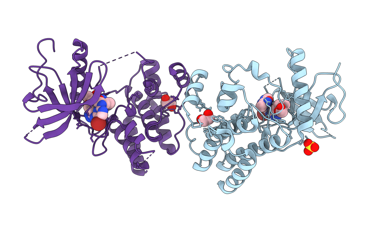 4F64 image