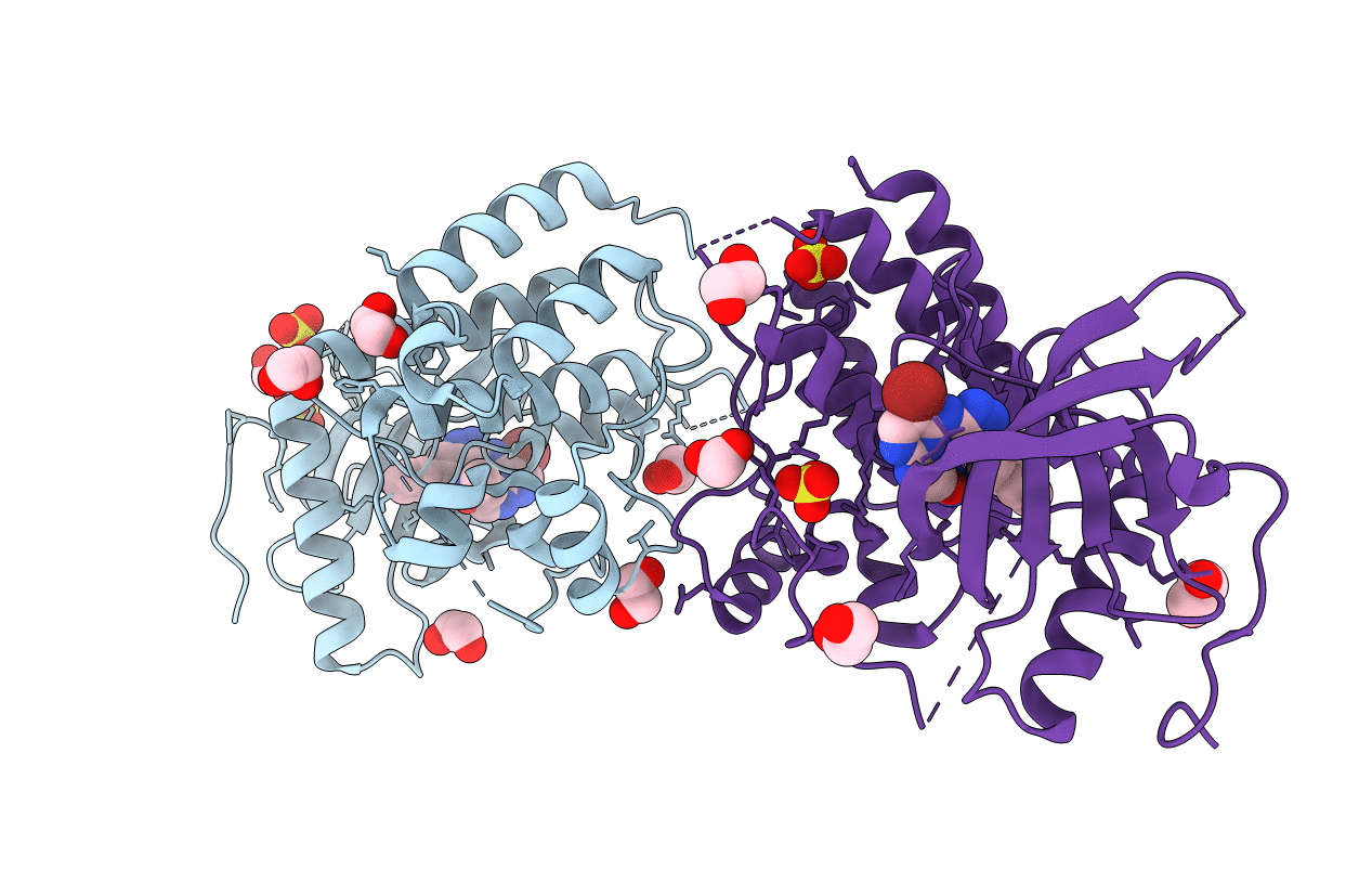 4F65 image
