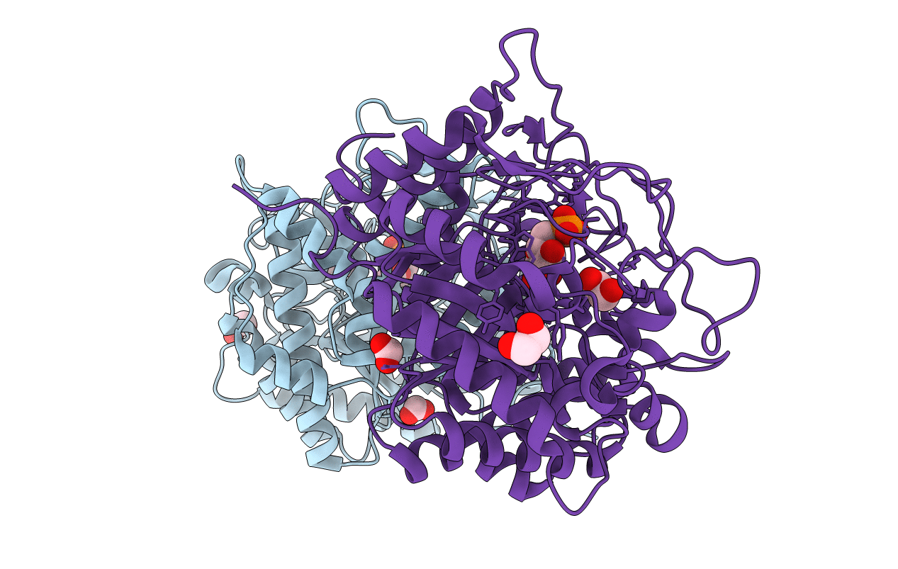 4F66 image