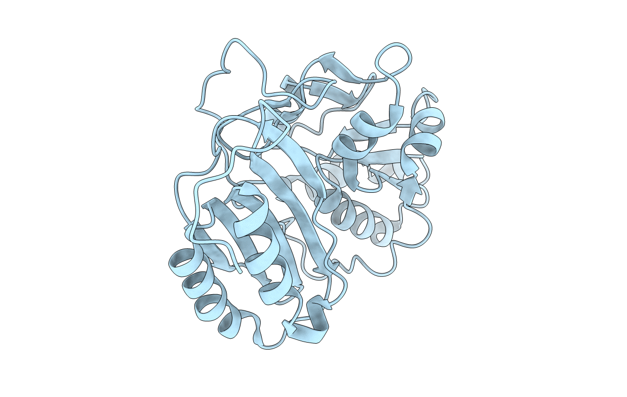 4F67 image