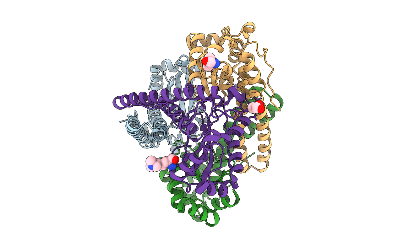 4F6E image
