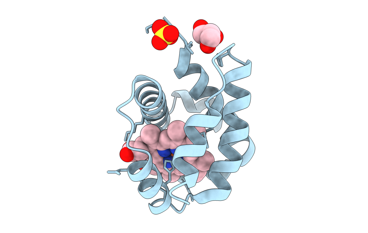 4F6G image