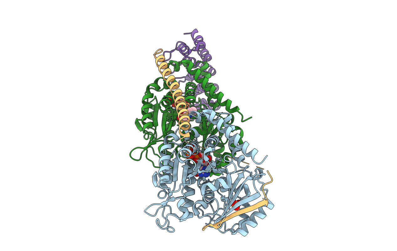 4F6R image