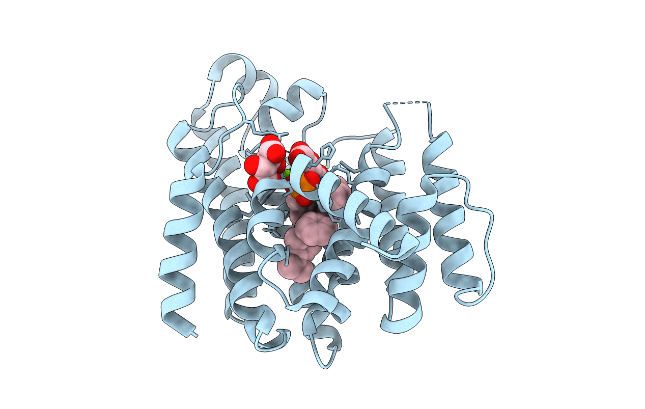 4F6V image