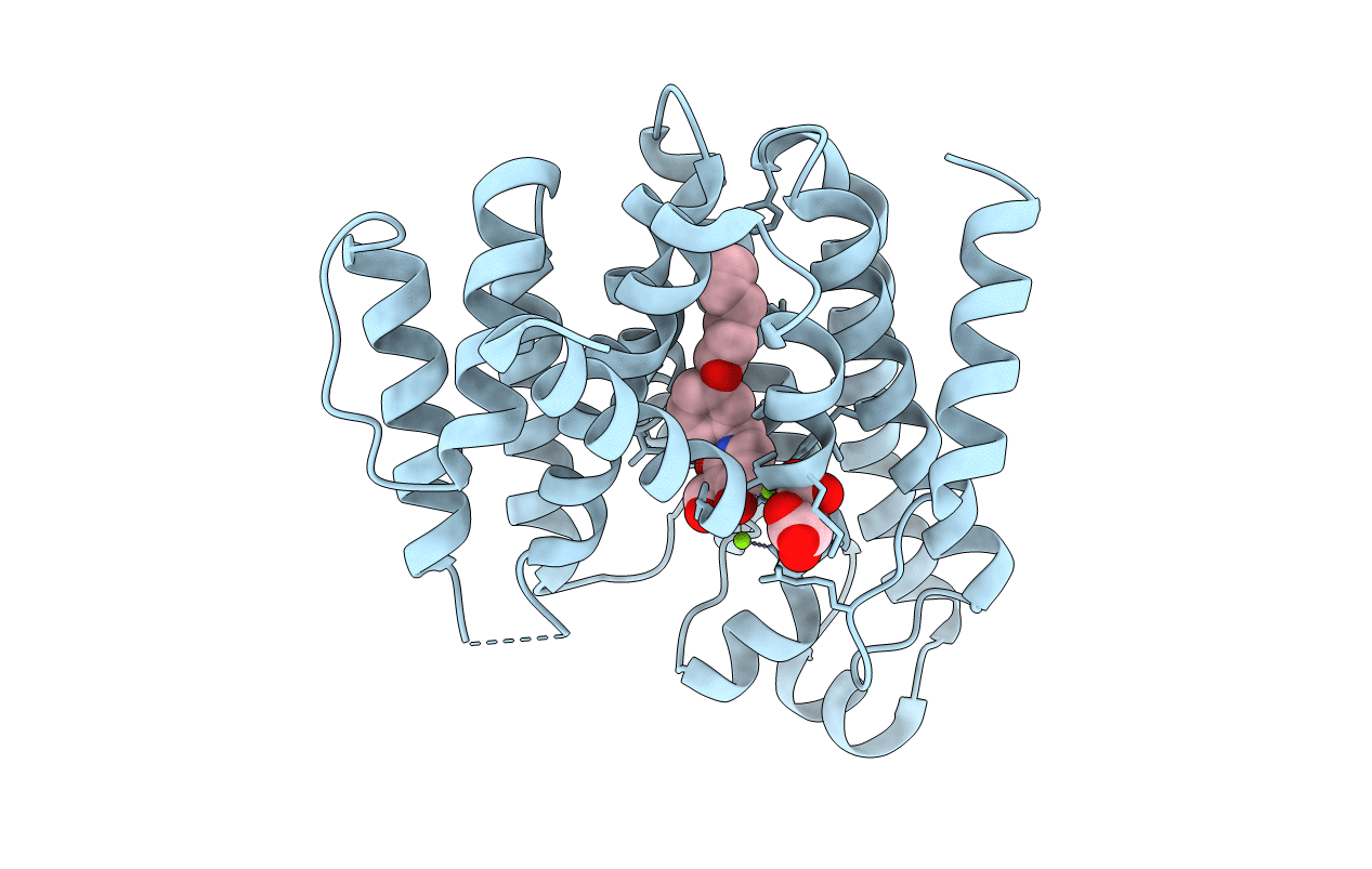 4F6X image