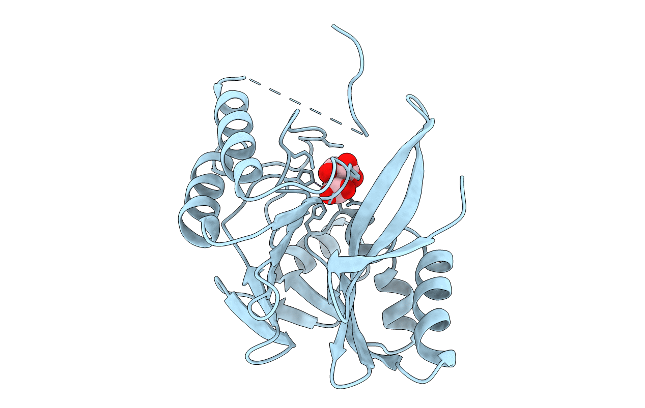 4F6Z image