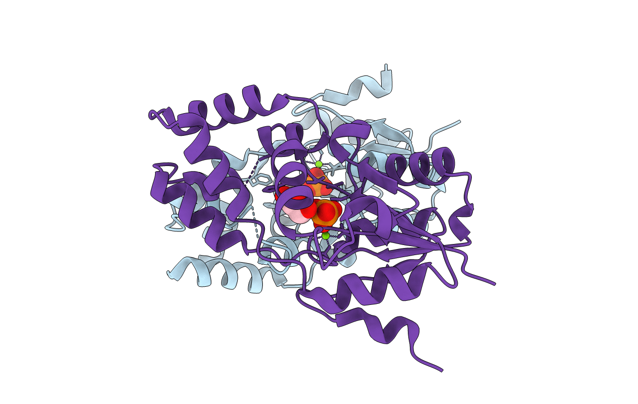 4F71 image