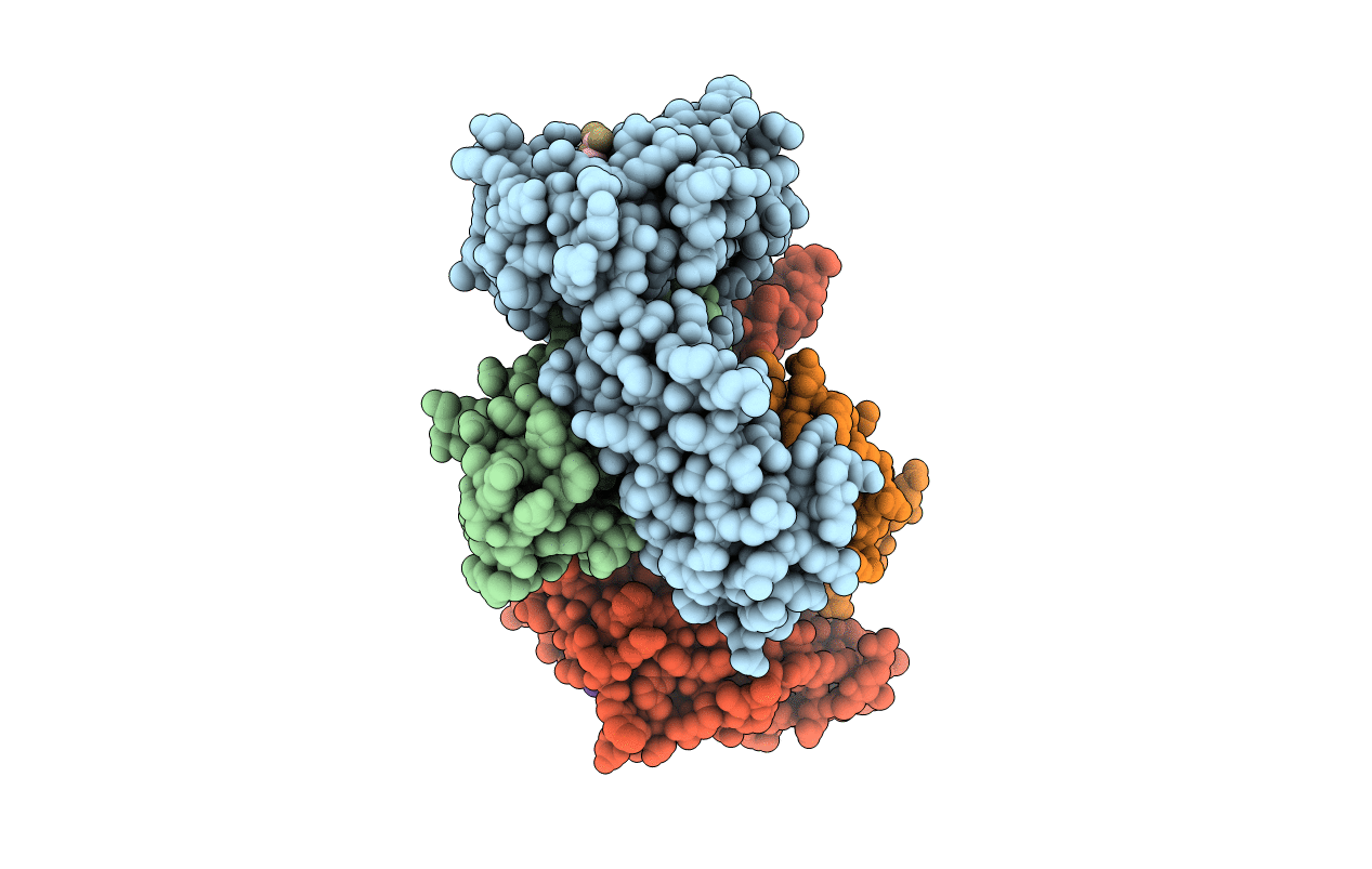 4F7T image