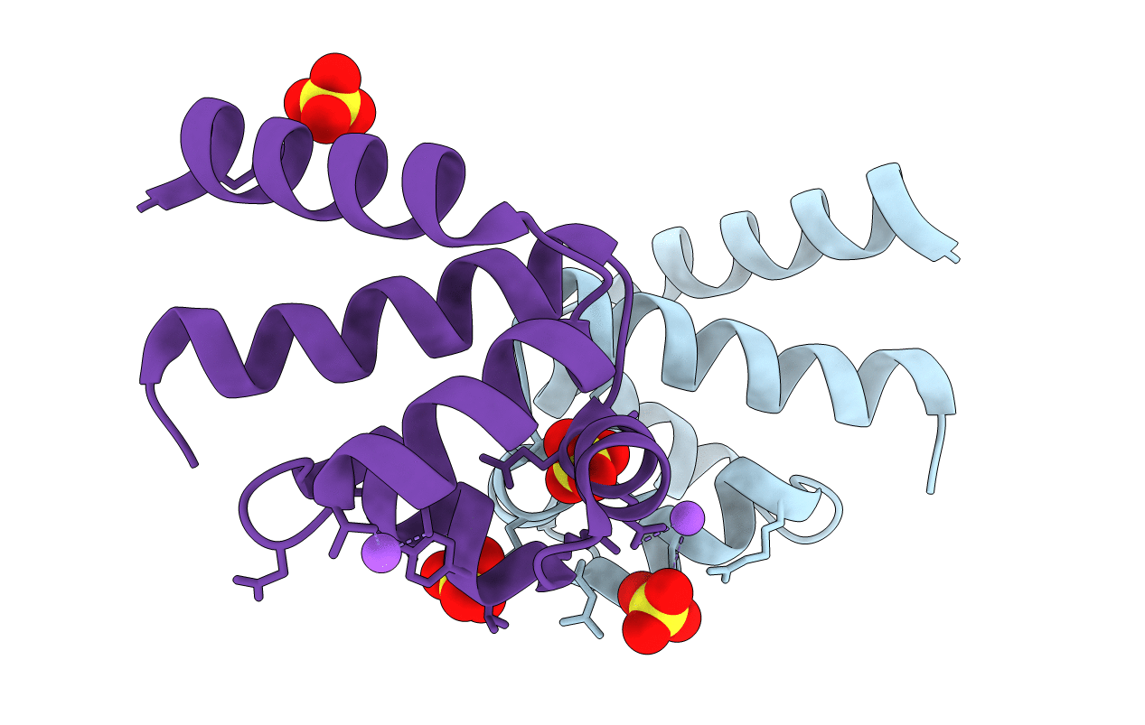 4F8D image