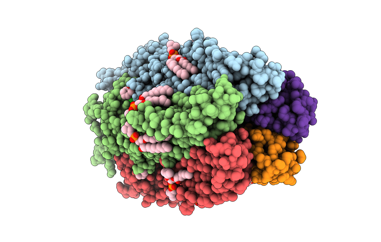 4F8H image