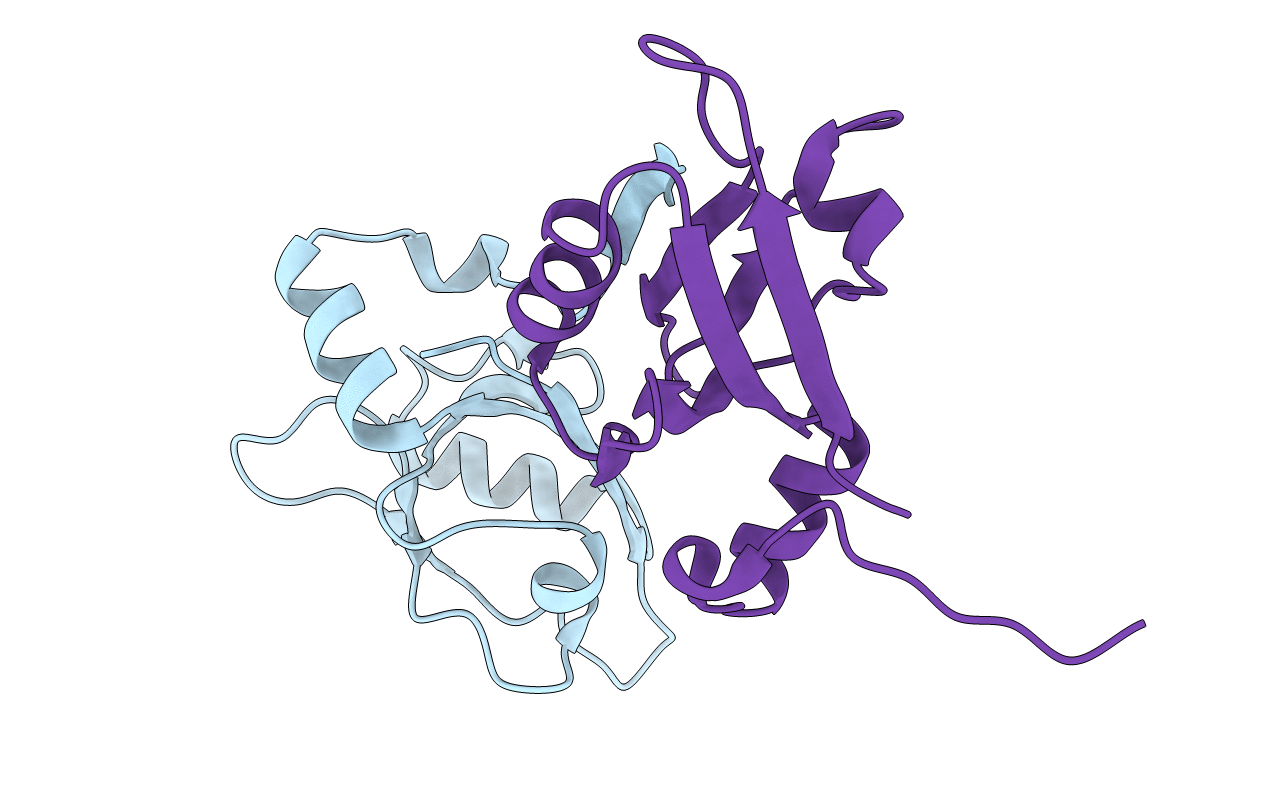 4F8K image