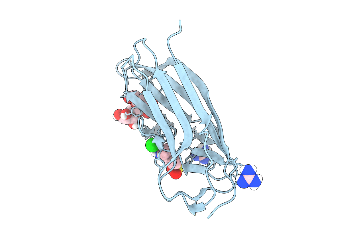 4F8O image