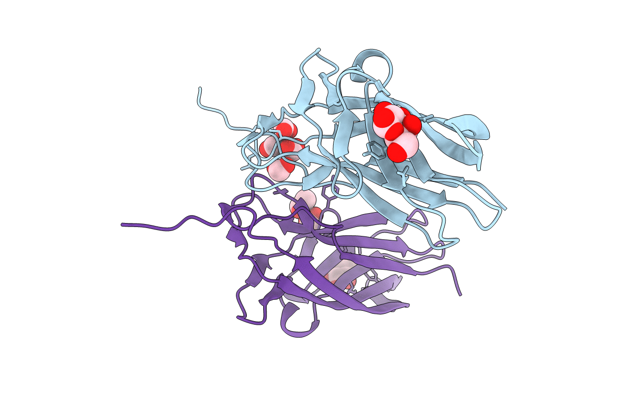 4F8P image