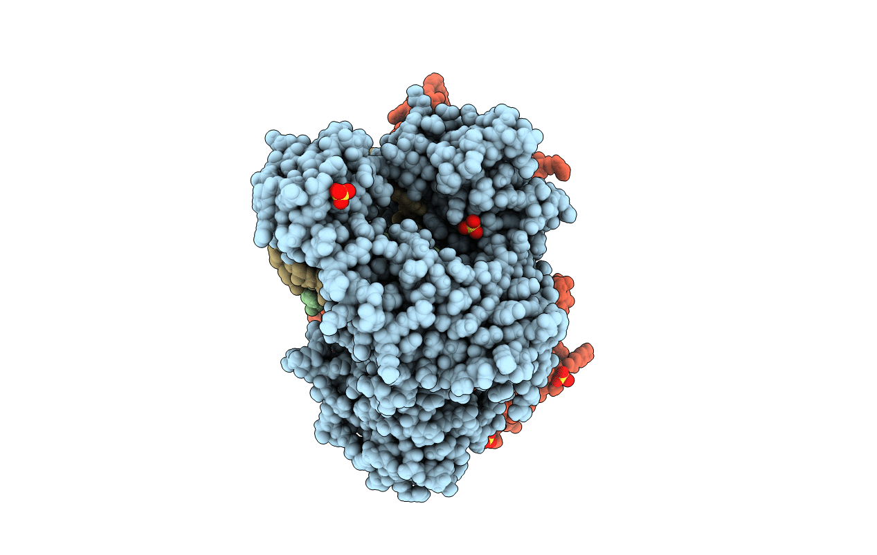 4F8R image