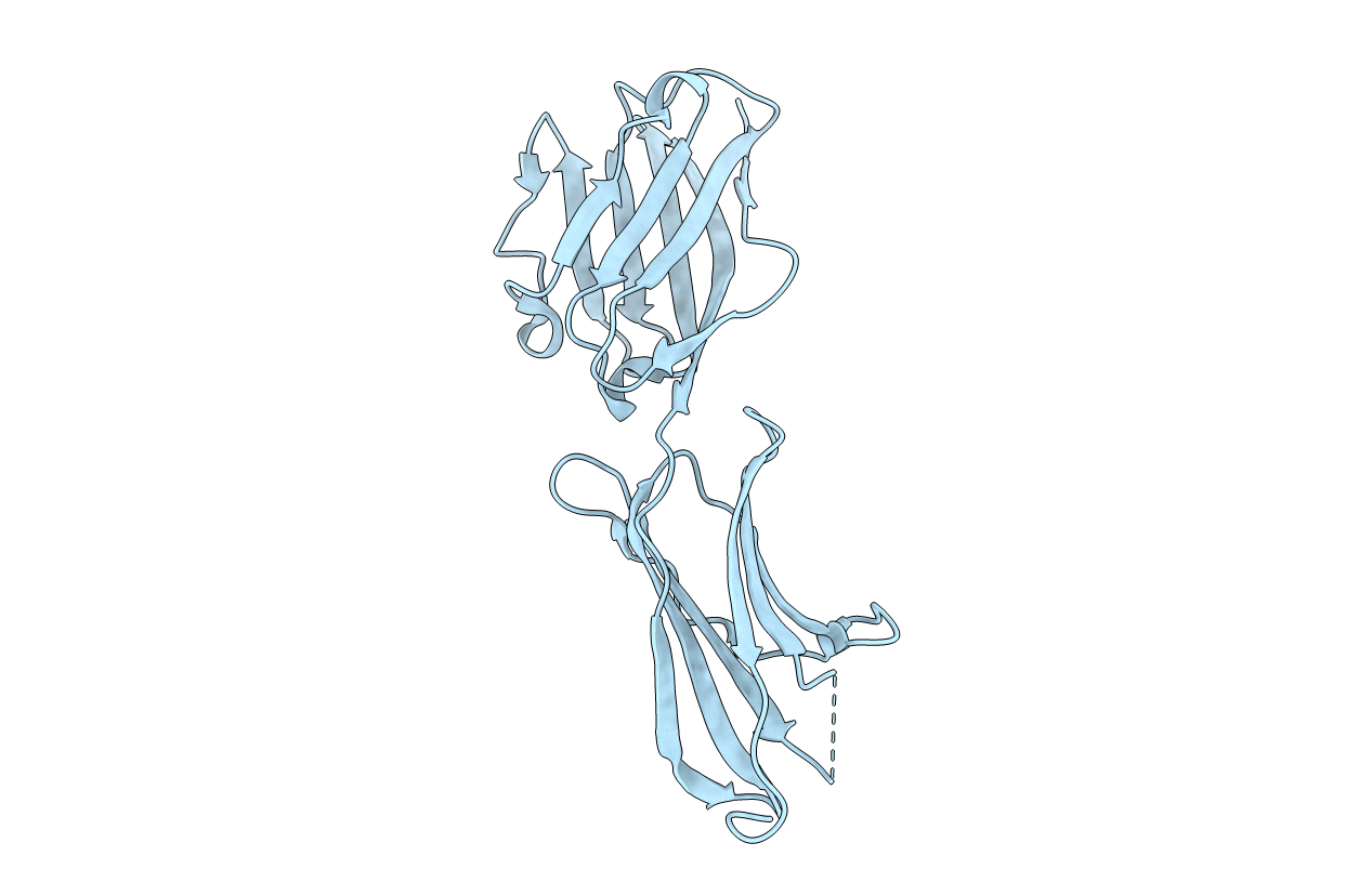 4F8T image