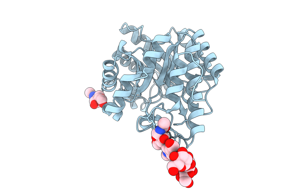 4F8X image