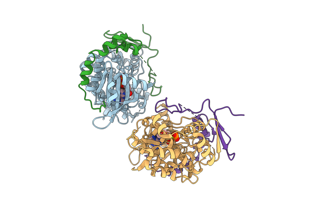 4F9A image