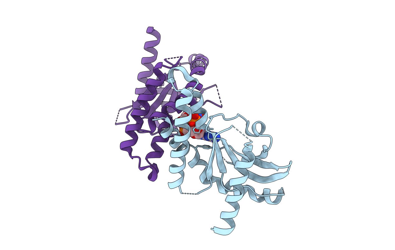 4F9G image